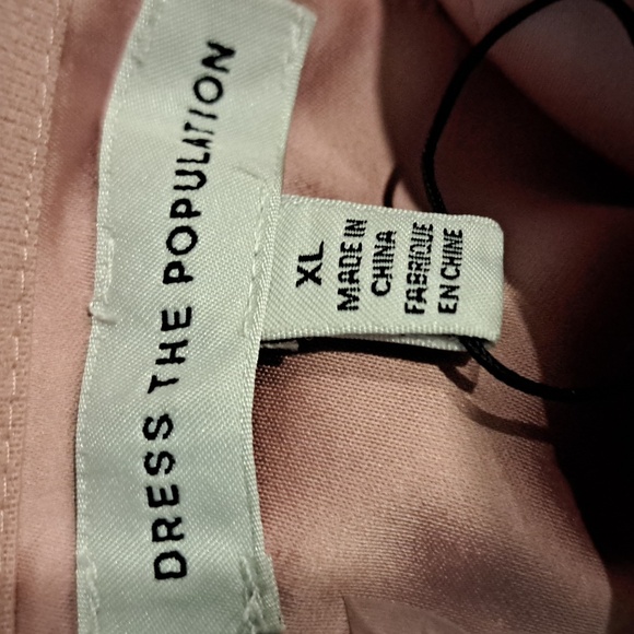 Dress the Population Cosette Corset Strapless Bodycon Dress in Rose Canyon - Picture 7 of 8